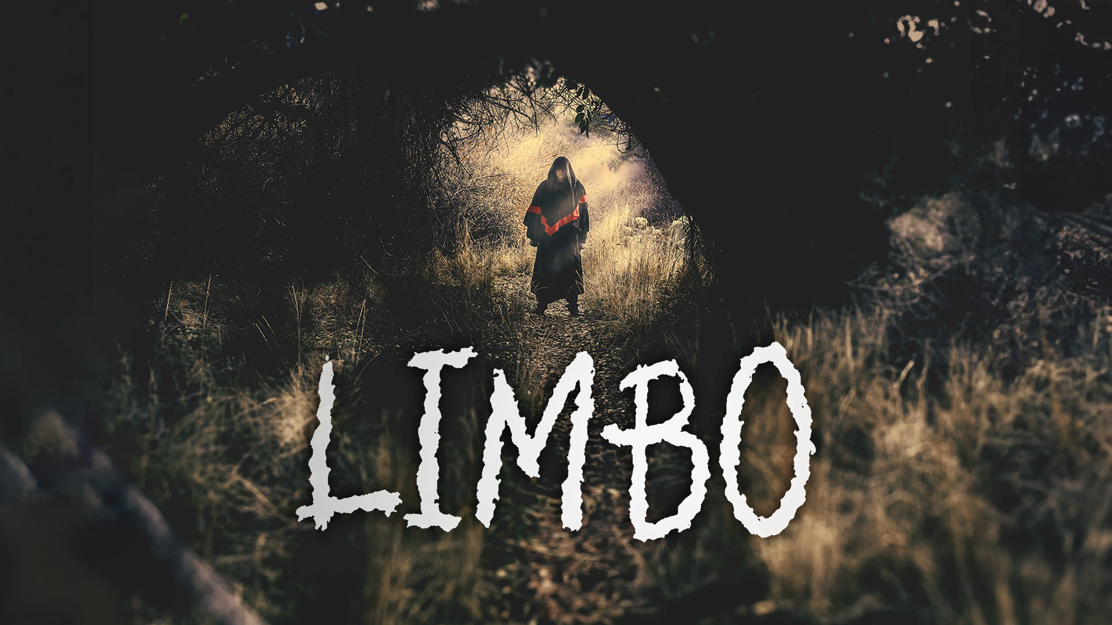 Limbo poster